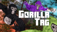 Gorilla Ascent Adventure