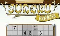 Number Grid Challenge: Classic Sudoku