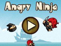 Stealthy Ninja Arcade Quest