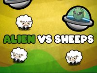 Sheep Rescue Puzzle Arcade