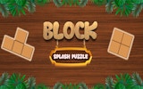 Block Splash Puzzle Game