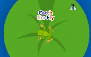 Catch the Fly - Classic Arcade Game
