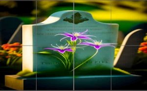 Picture Slide Master