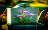 Picture Slide Master