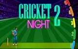 Cricket Night 2 - Arcade Cricket Game