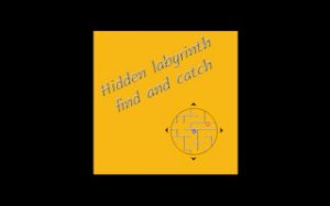 Hidden Labyrinth Puzzle Quest