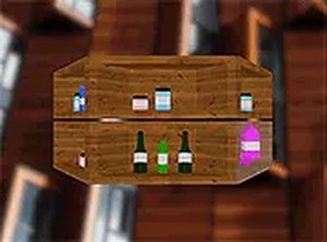 Shape Sorting Puzzle Challenge