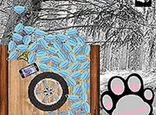 Neighborhood Tidy-Up Challenge