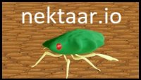 Nektaar.io Maze Survival Game