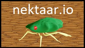 Nektaar.io Online Multiplayer Arcade Game